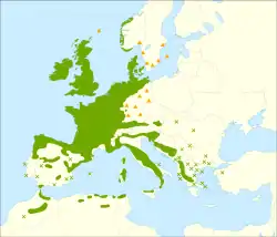 alt=Distribución del acebo. 
:     Distribución nativa.
:✖ Población aislada. 
:▲ Introducido y naturalizado.