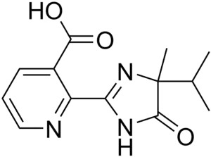 Imagen de la estructura