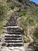 Escalones en una sección del camino.