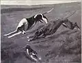 Una carrera en Waterloo - Ilustración de 1915
