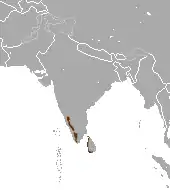 Distribución de la mangosta gris de India