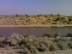 El canal fluyendo en el desierto de Thar cerca del pueblo de Sattasar, distrito de Bikaner, Rajastán