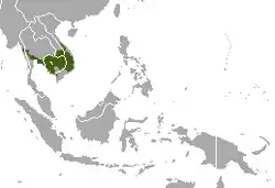 Distribución del langur de Indochina