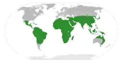 Distribución de la tribu Ingeae.