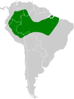 Distribución geográfica del cotinguita cejiblanco.