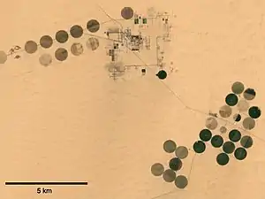 Imagen de satélite de grandes parcelas circulares irrigadas con dispositivos móviles de riego por aspersión, en el Sáhara egipcio.