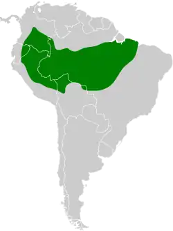 Distribución geográfica del hormiguerito de Hauxwell.