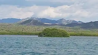 Islote de los Pájaros,  formado por manglares