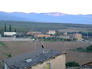Vecindad de las Cases de Sant Pere.