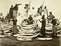 Ivory trade in the African Great Lakes region, 1880s.