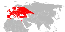 Distribución de la garrapata común