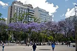 Plaza Miserere - Estación Once