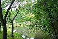 Jardines en Kinkaku-ji.