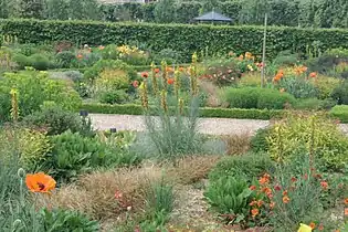 Jardin du soleil - Villandry.