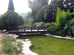 Puente sobre el estanque.