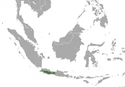 Javan Surili range