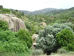 Paisaje del Djebel Korbous en el Cabo Bon