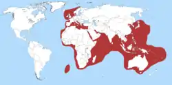 Distribución del pez de San Pedro