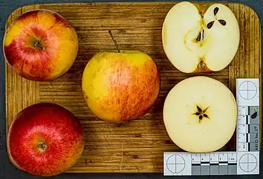 Manzana 'Jonagold' cortada en diferentes secciones.