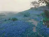 Campo Blue Bonnet, temprano en la mañana, San Antonio Texas, 1914