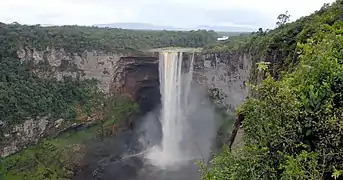 Amazonia de Guyana