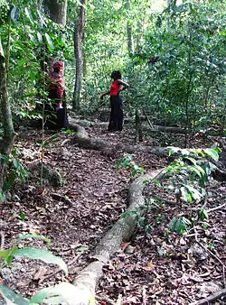 Tradiciones y prácticas vinculadas a los kayas en los bosques sagrados de los mijikendas, Kenia Kenia.