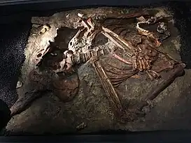 Kebara 2 es un esqueleto postcraneal parcial, el más completo de los neandertales encontrados hasta el momento.