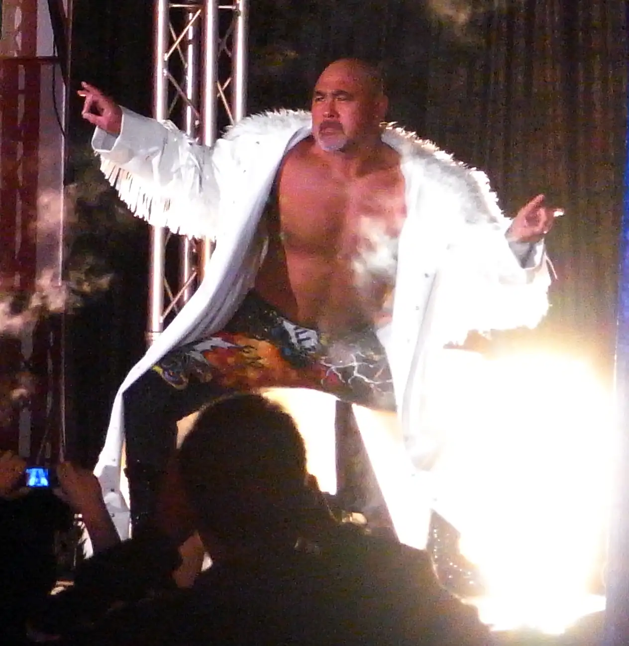 Keiji_Mutoh_2010