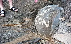 Concreciones  'Kettle'  en Kettle Point, Ontario, desfiguradas por grafitis.