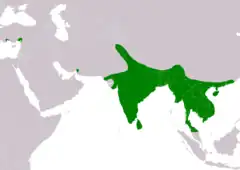 Distribución de Bubo zeylonensis