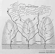 Fig. 1. Un cono relativamente pequeño e inclinado cerca de Khuzdar, Baluchistán, Pakistán.