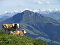 Grupo Wiesbachhorn, desde el norte sobre el Cuerno Kitzbüheler