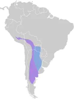 Distribución geográfica de la viudita aliblanca.