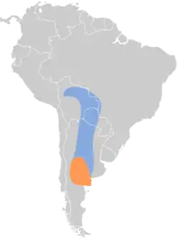 Distribución geográfica de la viudita chica.