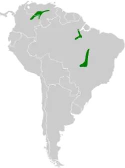 Distribución geográfica de la viudita ribereña (excluyendo K. sclateri).