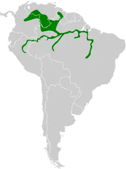 Distribución geográfica de la viudita amazónica.