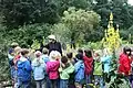 Grupo escolar en el Aromagarten Erlangen.