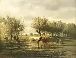 Vacas en un estanque.