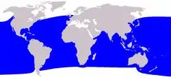 Distribución del cachalote pigmeo