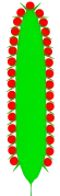 Esquema de una espiga cilíndrica