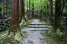 El sandō en Kōzan-ji, Kioto