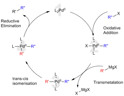 Accepted catalytic cycle for Kumada cross coupling reaction