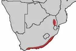 Distribución del Turaco Knysna