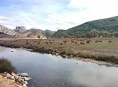 Láncara de Luna a la vista durante la sequía de 2017