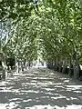 El bulevar de los Campos Elíseos.