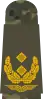 Generalmajor(field suit)