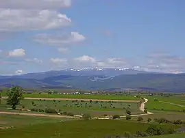 Vista de los Picos de Urbión desde Los Tajones.