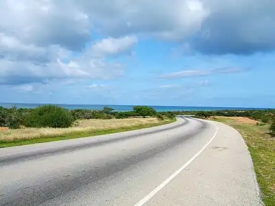 Carretera desde La Guardia a Juan Griego