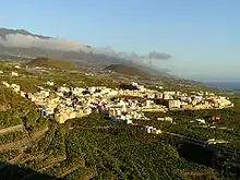 Cultivo de plátanos en torno a Tazacorte (Isla de la Palma).