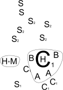 Esquema de la representación parietal del panel 74-75 de la Galería C